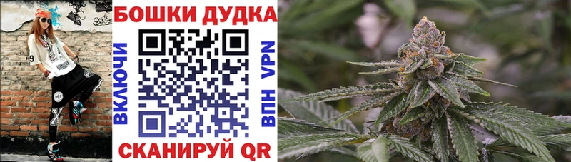 Где купить наркоту Волгореченск Амфетамин  Меф мяу мяу  A PVP  Марихуана  ГАШ  Cocaine 