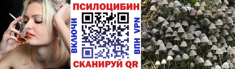 Галлюциногенные грибы MAGIC MUSHROOMS Волгореченск